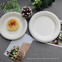 Biodegradable sugarcane packaging 7 inch plates